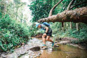 BIB: 
                            <button type="button" onclick="openModal(25376015)" class="btn btn-primary btn-sm float-right btn-popup" data-toggle="modal" data-target=".modal-high-quality">
                        <i class="fas fa-shopping-cart"></i> Add to Cart
                    </button>
                                            <button type="button" onclick="isThisMe(25376015, true)" class="btn btn-success btn-sm float-right btn-popup btn-isme hidden" data-toggle="tooltip" data-placement="bottom" title="นี่คือรูปของคุณใช่ไหม คลิกที่นี่เพื่อเอาเข้าอัลบั้ม">
                        <i class="fas fa-plus"></i> Add to album
                    </button>
                    <button type="button" onclick="isThisMe(25376015, false)" class="btn btn-warning btn-sm float-right btn-popup btn-isnotme hidden">
                        <i class="fas fa-ban"></i> Remove from album
                    </button>